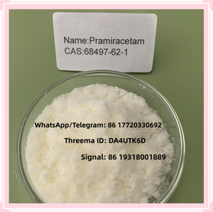 대량 가격 CAS 68497-62-1로 공장 공급 Pramiracetam 분말